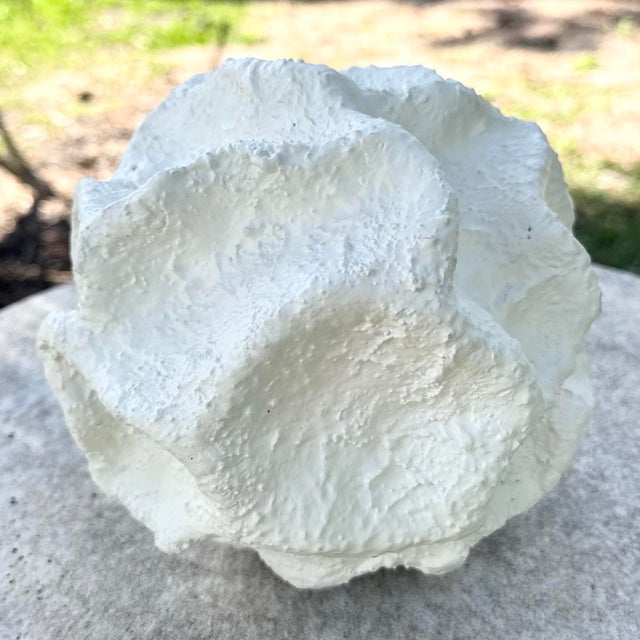 A bold minimalist abstract sculpture featuring a spherical organic form with deeply textured, sculptural contours. The...