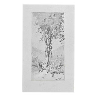 Carlo Ferrari, Big Tree, 1899, Pencil Drawing For Sale
