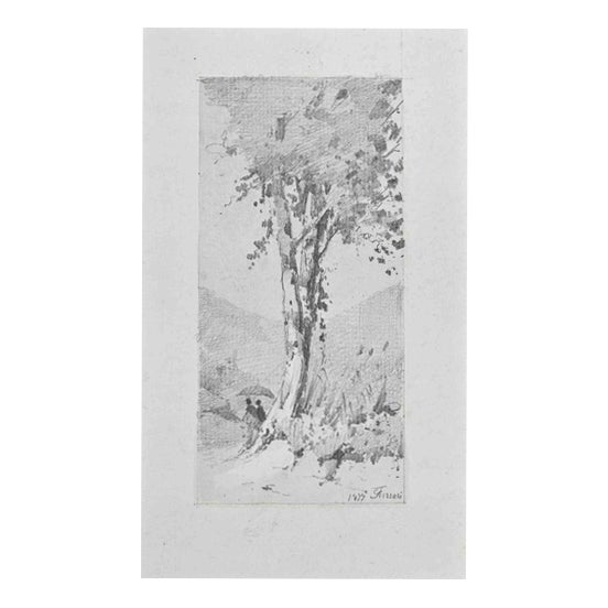 Carlo Ferrari, Big Tree, 1899, Pencil Drawing For Sale