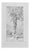 Carlo Ferrari, Big Tree, 1899, Pencil Drawing For Sale
