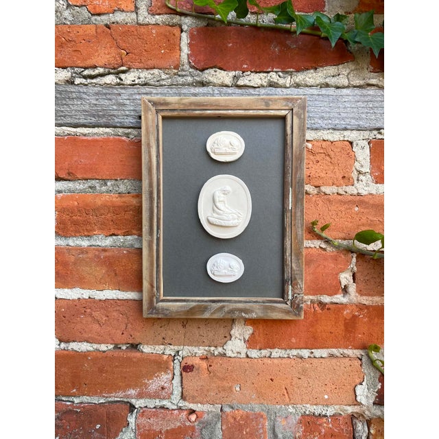 English Italian Plaster Intaglios in 1880s Pine Frame For Sale - Image 3 of 6