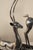 Silver Late 20th Century Silver Plated Deer With Tall Antlers on Glossy Black Bases - Set of 2 For Sale - Image 8 of 13