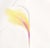 Original chalcography and serigraph by Shu Takahashi. This is an edition of 75 prints hand signed and numbered by the...