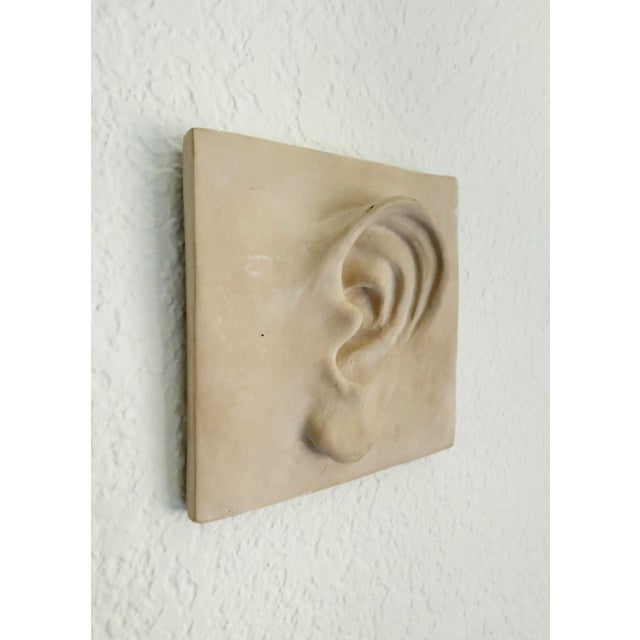 Beige Vintage Plaster Relief of Ear For Sale - Image 8 of 9