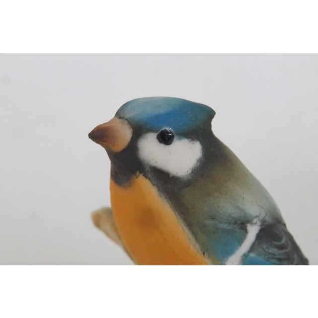 Capodimonte Savastano Eurasian Blue Tit Ceramic Figurine Bird on a Branch 4496b For Sale In Miami - Image 6 of 17