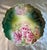 Antique Hand Painted Austrian Porcelain Plate #5806 Memorial Day Sale $30 For Sale - Image 9 of 11