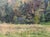 1950s 1950s Oil Painting Near the Forest Yakovlev B. N. For Sale - Image 5 of 12