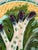 Antique French Barbotine Majolica Asparagus Plates, Circa 1880–1900 - Set of Four For Sale In New York - Image 6 of 10