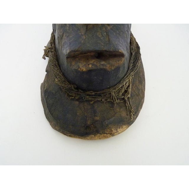 Wood African Mask in Wood, 1950s For Sale - Image 7 of 10