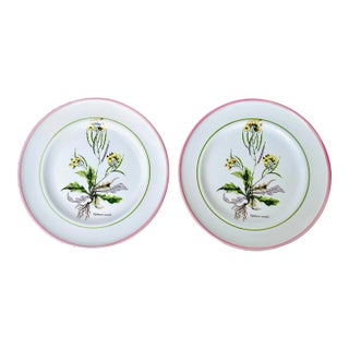 Vintage Primula Italian Pottery "Diplotaxis Muralis" Plates- Set of 2 For Sale