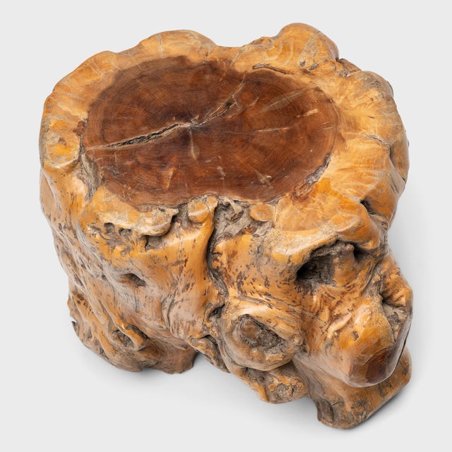 Contemporary Chinese Rootwood Side Table For Sale - Image 3 of 4