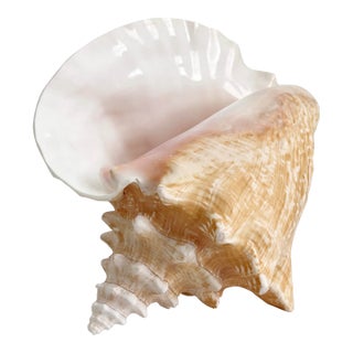 Vintage Conch Shell Accent Lamp For Sale