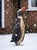 Vintage Folk Art Painted Sheet Metal Penguin Garden Statue For Sale - Image 12 of 12