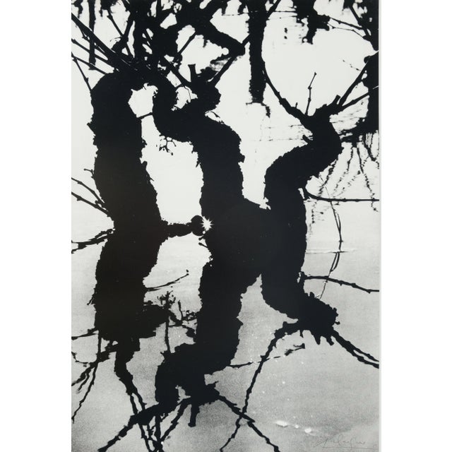 Lucien Clergue, Le Marais d'Arles, Etching For Sale - Image 6 of 6
