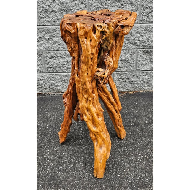 An amazing Varnished Driftwood Root Natural Organic Wood Pedestal, Side End Table, Stand in great vintage condition....