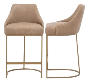 Essentials For Living Parissa Leather Counter Stools - Set of 2