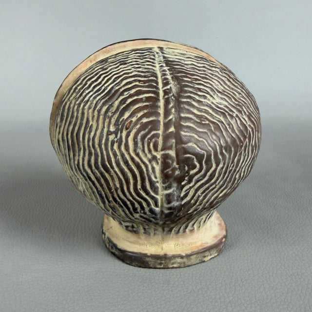 Classical Greek Head Sculpture in Terracotta, 1960s For Sale - Image 4 of 11