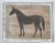 Contemporary Horse Folk Art Americana Minimalism Beige Burnt Umber Tan White Original Painting by Cleo Plowden For Sale - Image 3 of 3