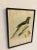 John Gould, Birds of Australia, 1800s, Lithograph, Framed For Sale - Image 5 of 7