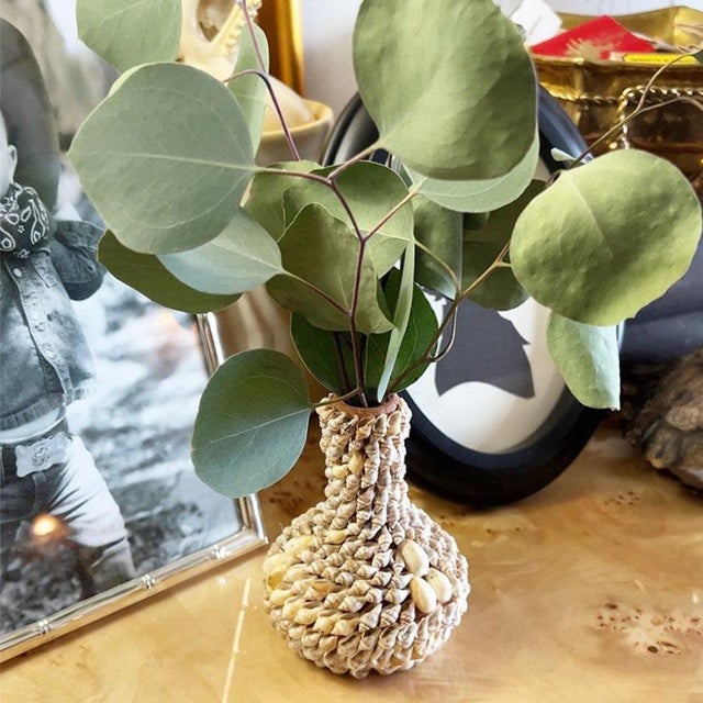 Antique White Vintage Shell-Encrusted Bud Vase – Coastal Grandmillennial Décor For Sale - Image 8 of 8