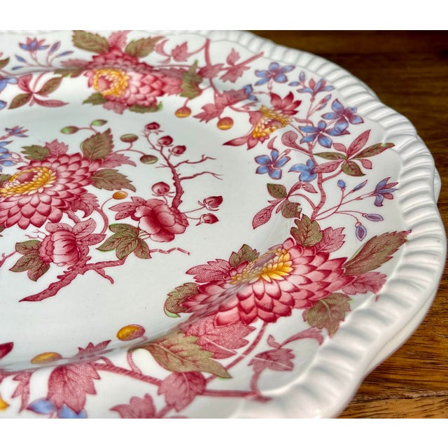 Spode Mid 20th Century Spode (England) Aster Red Dinner Plates - a Pair For Sale - Image 4 of 7