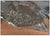 Late 20th Century Late 20th Century Excuse Me?!, Bob Parks For Sale - Image 5 of 6