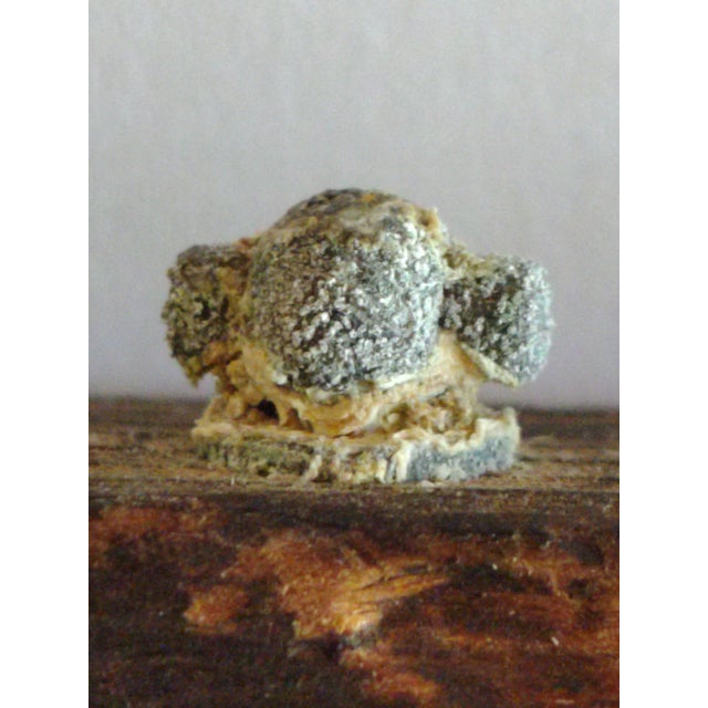 Vintage Hand Carved Watermill Wood Relief Wall Art For Sale - Image 6 of 6