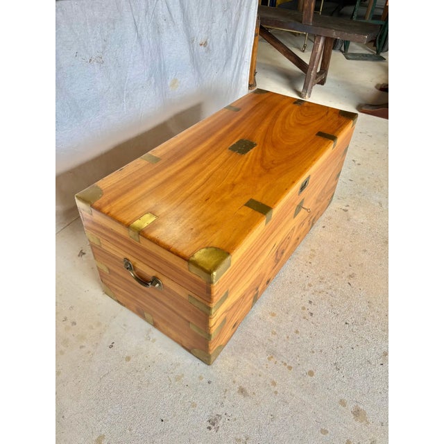 19th Century English Camphor Wood Campaign Chest For Sale - Image 18 of 18