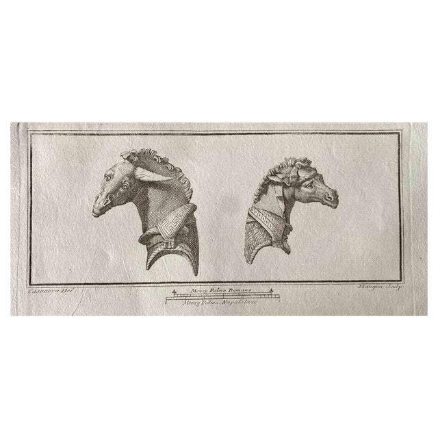 Various Artists, Animal Figures From Ancient Rome, Original Etching, 1750s For Sale