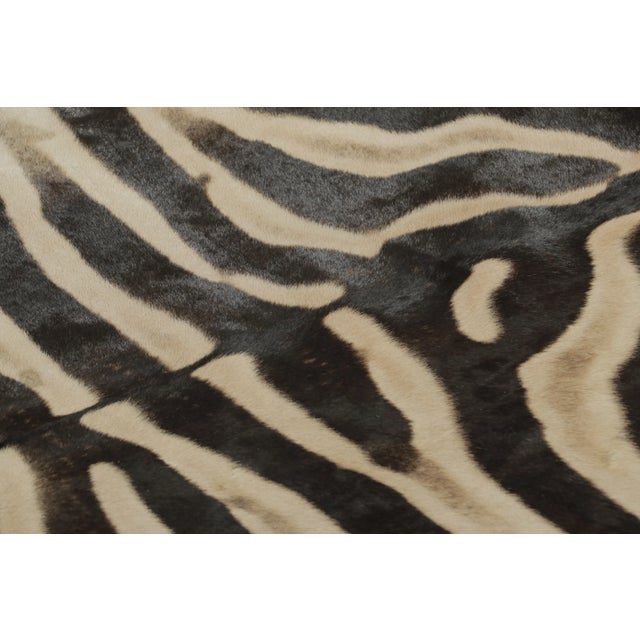 Rug & Kilim’s Contemporary Burchell Zebra Hide Rug With Classic Black Stripes (Pair) For Sale - Image 9 of 9