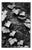 Paul Cooklin, Ivy I, Edition of 50 For Sale