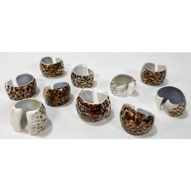 Vintage Tiger Cowrie Shell Napkin Rings, Set of 10 For Sale - Image 9 of 9
