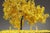 Nayla Tabet, Yellow Tree, Metal & Paper Sculpture For Sale - Image 4 of 18