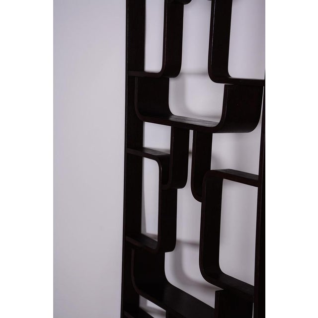 Room Divider by Ludvik Volak for Drevopodnik Holesov, 1960s For Sale - Image 9 of 10