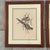 Victorian Vintage 1800s John Gould Tropical Birds Parrots Color Lithograph Reproductions by Sidney Z. Lucas Circa 1940s - Set of 2 For Sale - Image 3 of 15