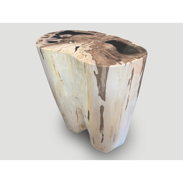 Andrianna Shamaris High Quality Exquisite Petrified Wood Side Table For Sale - Image 4 of 18