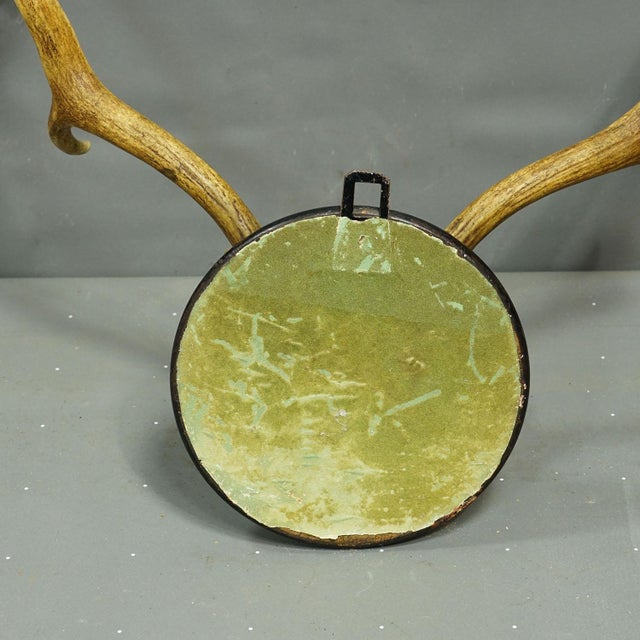 Wood Black Forest Fallow Deer Trophy From Salem Germany, Solitude Park 1894 For Sale - Image 7 of 7