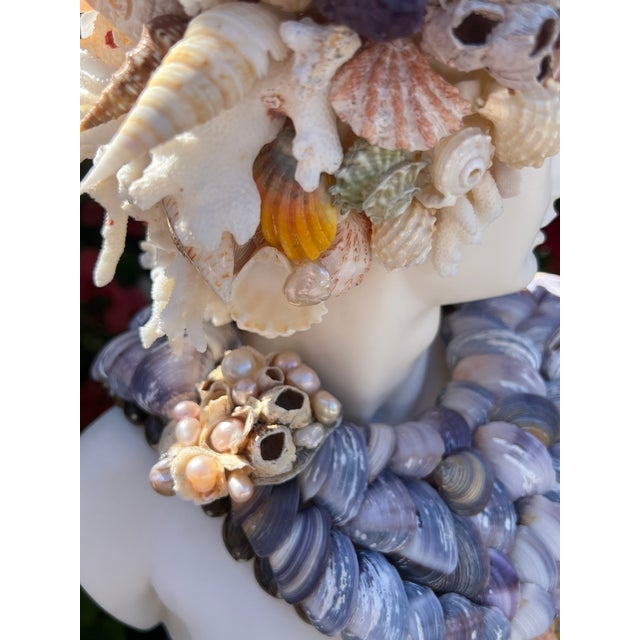 Christa's South Seashells 15" h. white marble bust of Apollo - covered with wonderful organic shells and barnacles -...