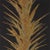 Sanderson Yucca Wallpaper in Charcoal/Gold For Sale