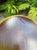 Brown Lane Perception Walnut Ash Round Table 1968 For Sale - Image 8 of 11
