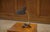 Desk Table Lamp, 1960s For Sale - Image 6 of 8