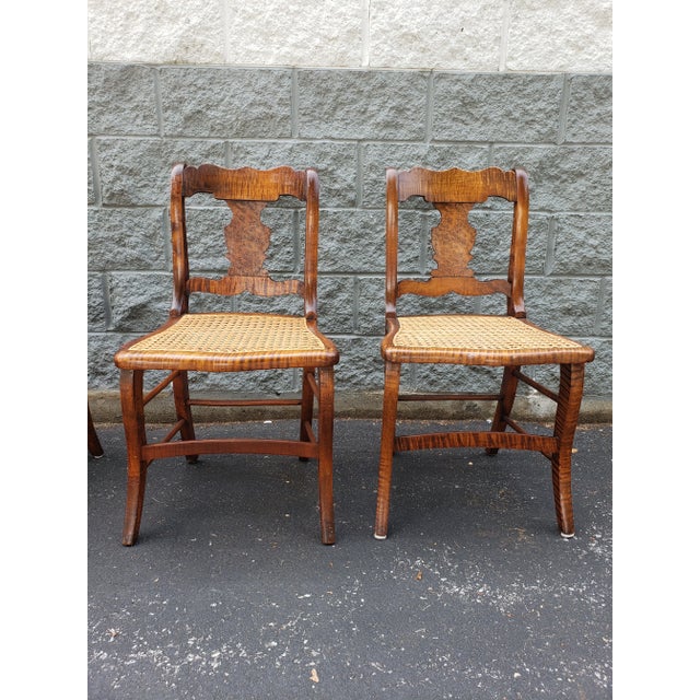 Early American Tiger Wood and Cane Seat Chairs, Set of 4 For Sale - Image 10 of 12