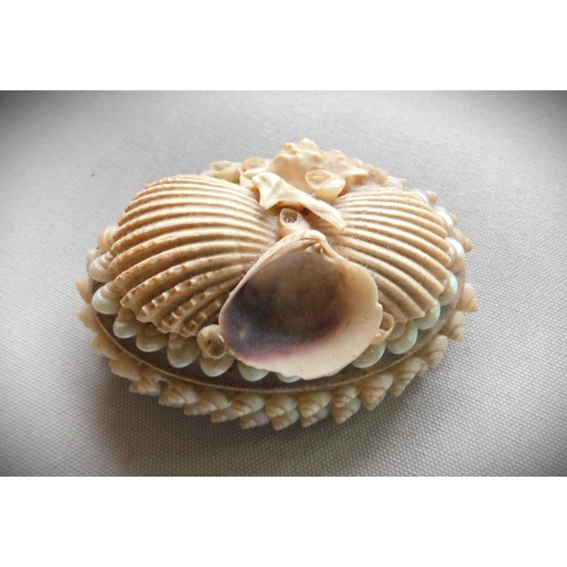 Antique Victorian Shell Wwi, Navy Sailor Valentine Gift, Oval Boudoir Jewelry Ring Box For Sale - Image 9 of 9