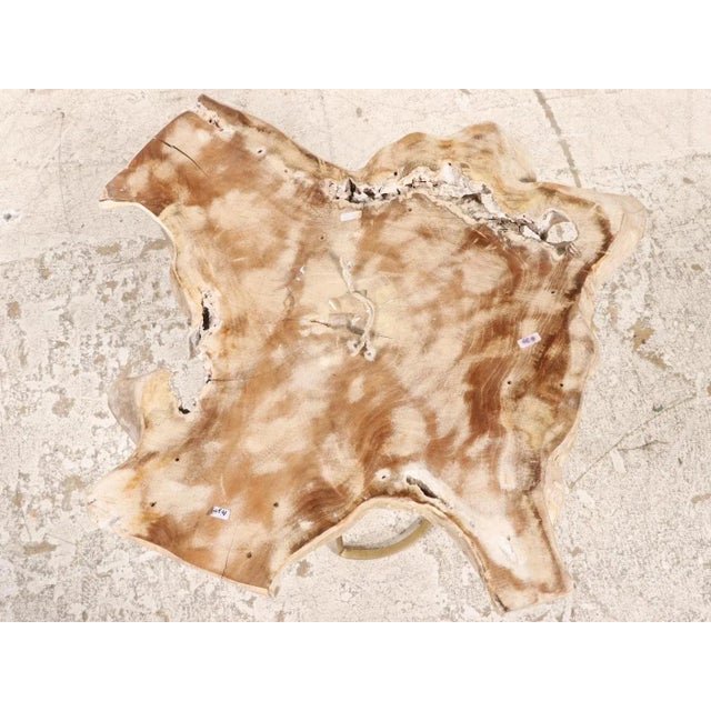 1980s Live Free Edge Wood Burl Gold Base Side Table For Sale - Image 4 of 7