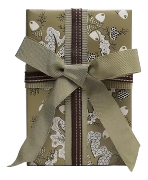 Schumacher Richmond House Wrapping Paper