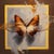 Contemporary The Sunset Morpho on Shades of Slate & Umber by Lindsey Kustusch | Oil on wood panel Butterfly on a brown background For Sale - Image 3 of 3