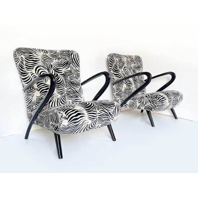 Unique pair of mid-century armchairs entirely in zebra-print microvelvet with black lacquered wooden armrests and feet and...