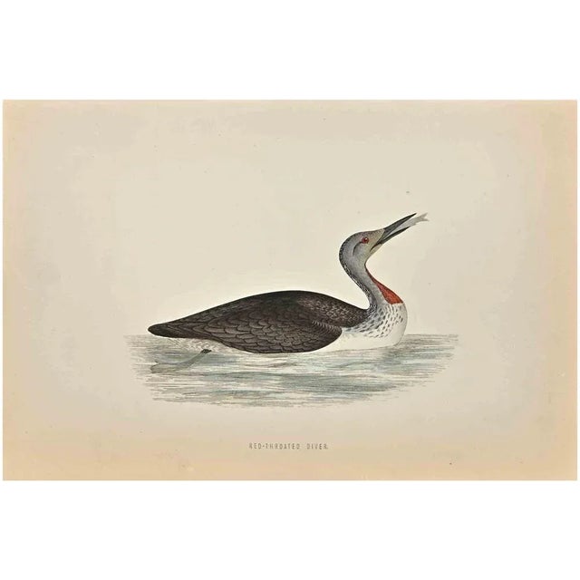 Red-Throated Diver is a modern artwork realized in 1870 by the British artist Alexander Francis Lydon (1836-1917). Woodcut...