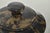 Vintage Italian Marble Tureen with Silver, Mid-20th Century For Sale - Image 5 of 6
