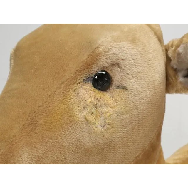 Textile 1963 Steiff Mohair Fallow Deer "Studio Animal" For Sale - Image 7 of 13